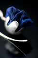 2d sr.png